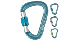 Beal BeSafe Locking Carabiner