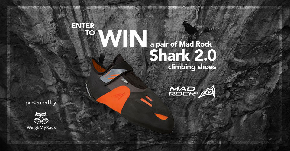 Mad Rock Shark