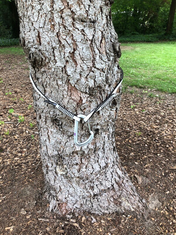 Top 5 Reasons to Own a Rabbit Runner