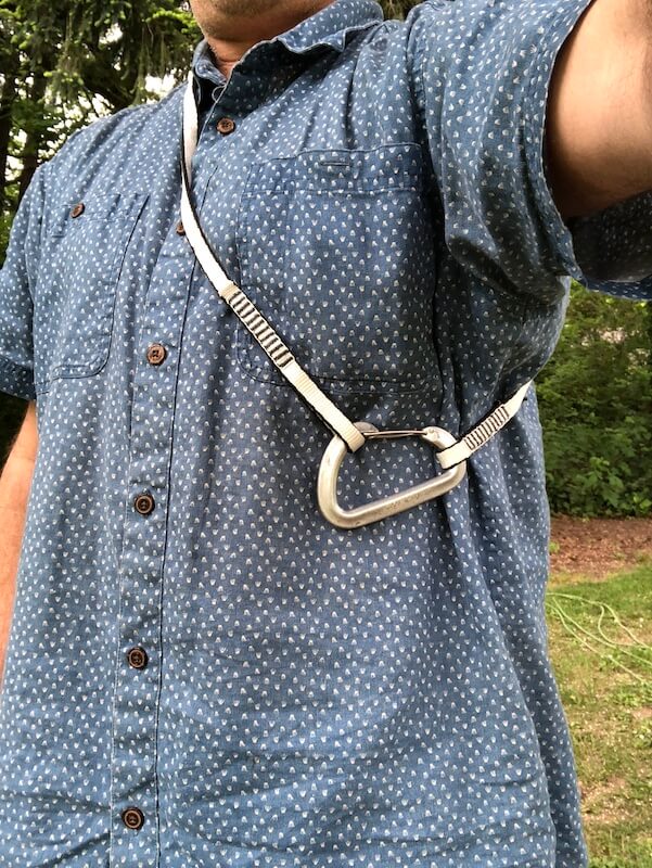 Top 5 Reasons to Own a Rabbit Runner