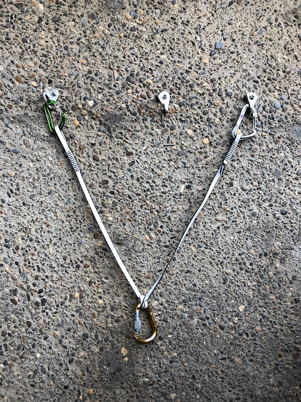 Top 5 Reasons to Own a Rabbit Runner