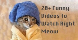 April Fools Climbing Videos