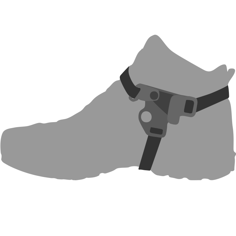 Foot 12
