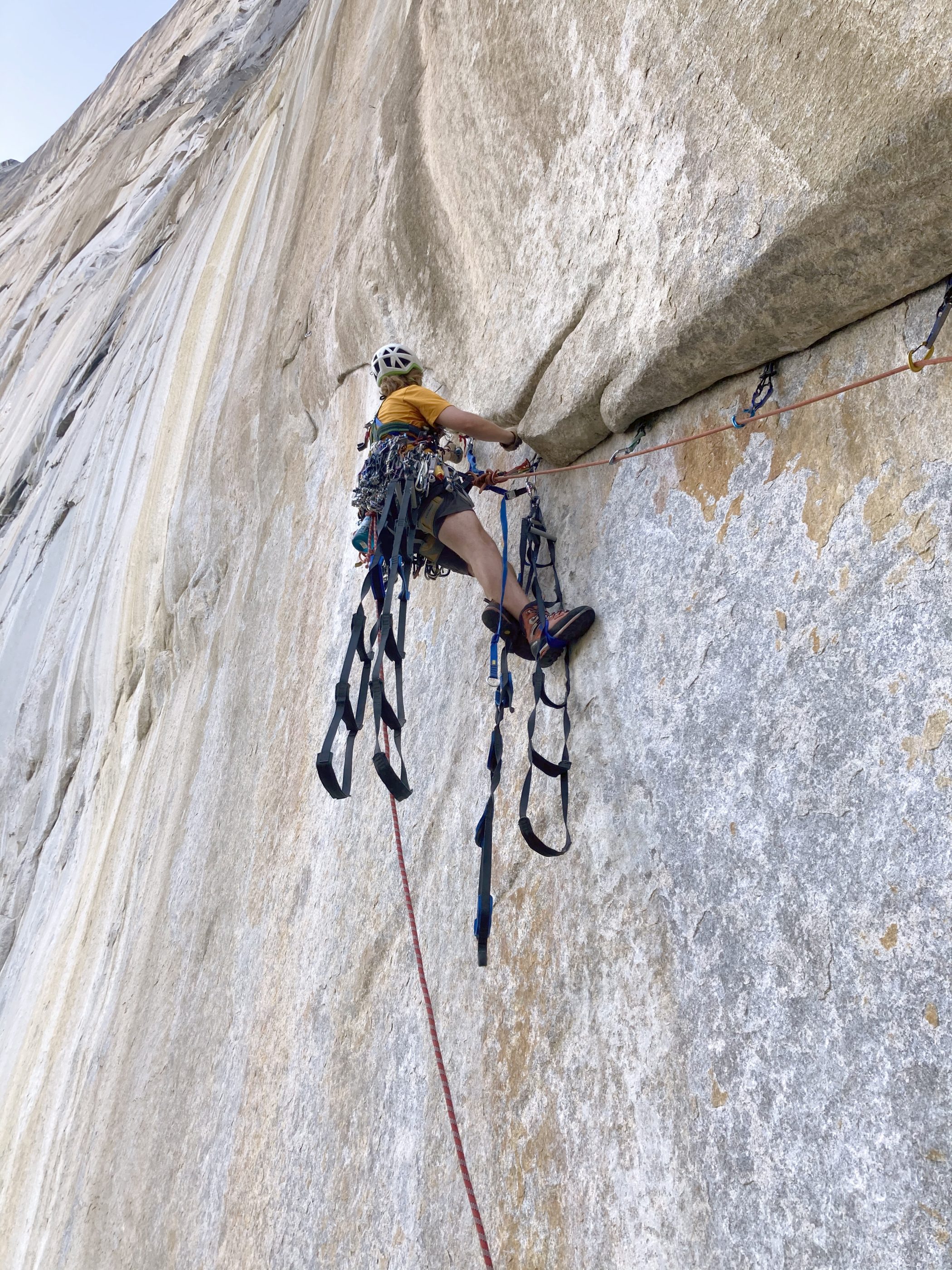 Hayden hammering away